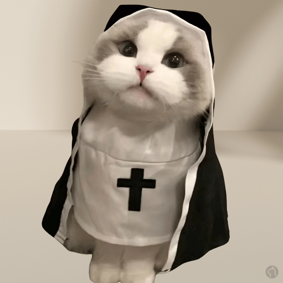 Nun Cat Costume