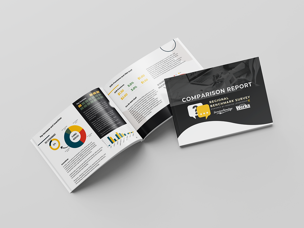 Comp and Benefit Report Mockup.png