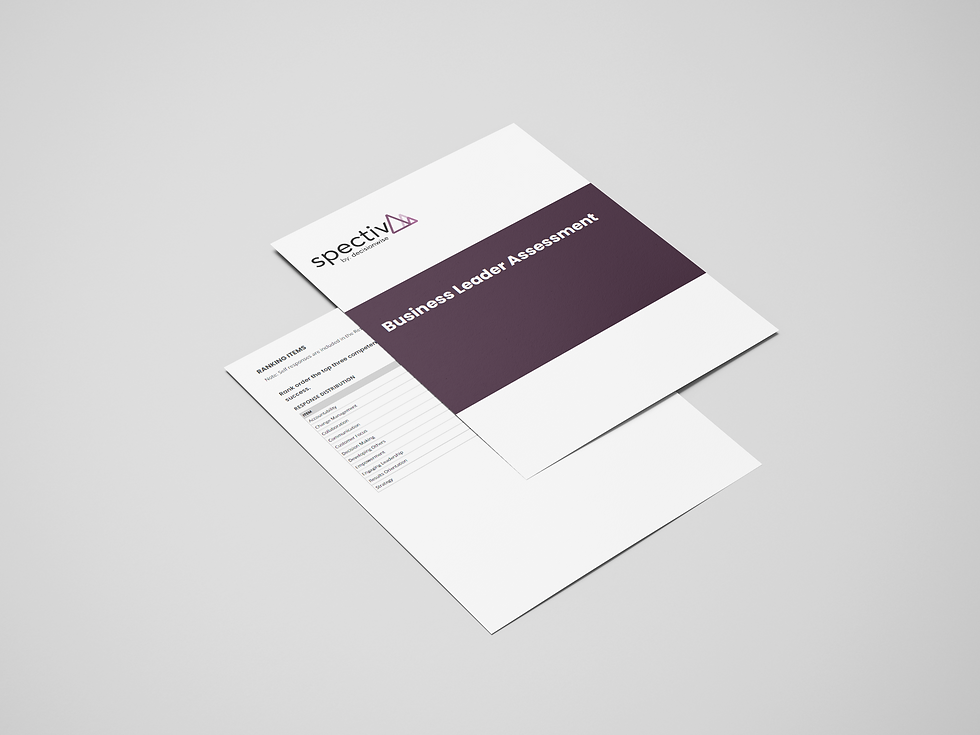 360 Business Assesment Mockup V1.png