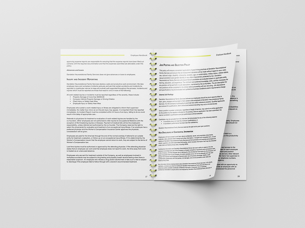 Dandelion Handbook Mockup-Pages 2.png