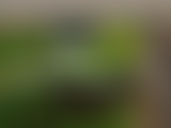 Rural Report | October 28th, 2025