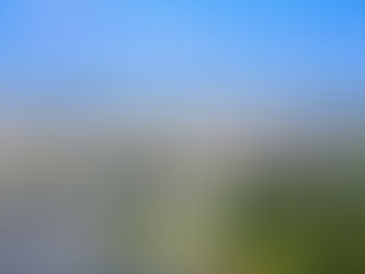 Company Executives Engaging in DC Should Keep a Narrow Focus