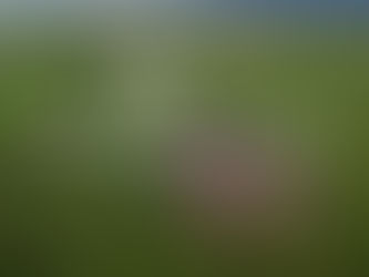 Rural Report | July 8th, 2025