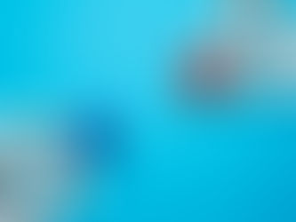 Bipartisan Priorities to Keep an Eye on in 2024