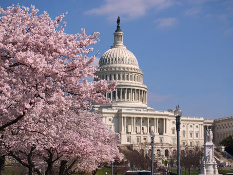 Congressional Review Act Resolutions a Success for Republicans