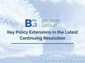 Key Policy Extensions in the Latest Continuing Resolution