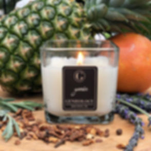 “genie”_A rich and complex blend of vanilla, musk and sandalwood accompanied by clove, jasmine, lave