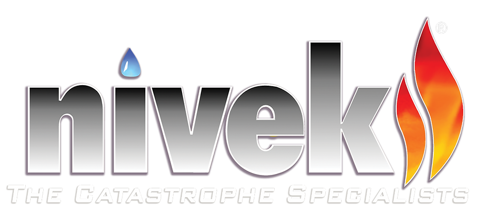 Logo_WhiteText.png