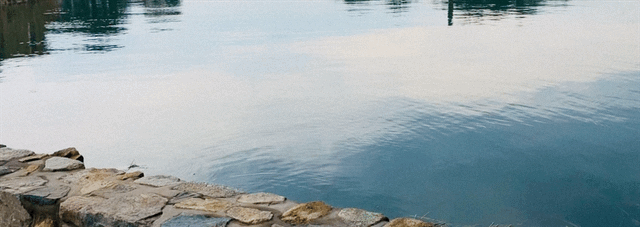 color.GIF