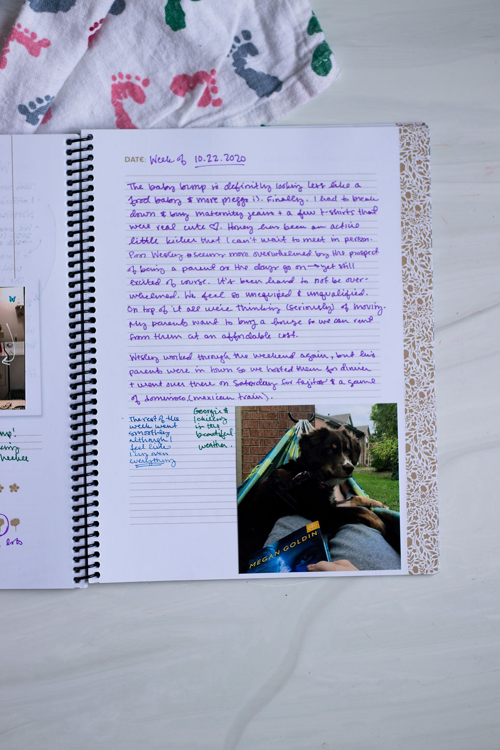 Thumbnail: Pregnancy Journal
