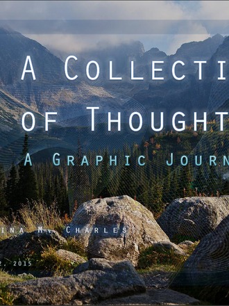 A COLLECTION OF THOUGHTS: A GRAPHIC JOURNEY eBook