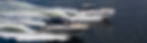 banner_marine.jpg