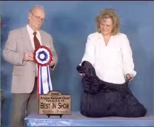 2007.avif