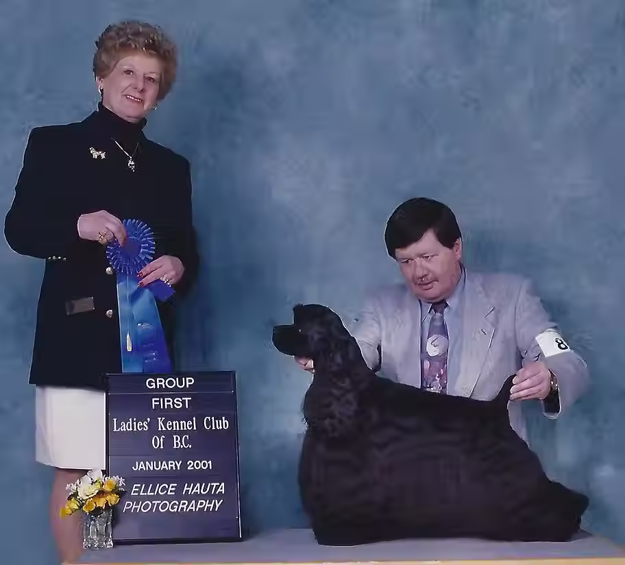 2001-1.avif