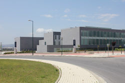 image_7868