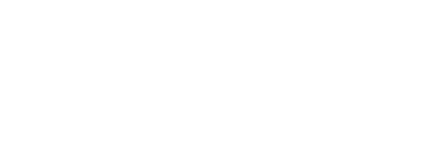 Texto Conselho Fiscal-8.png