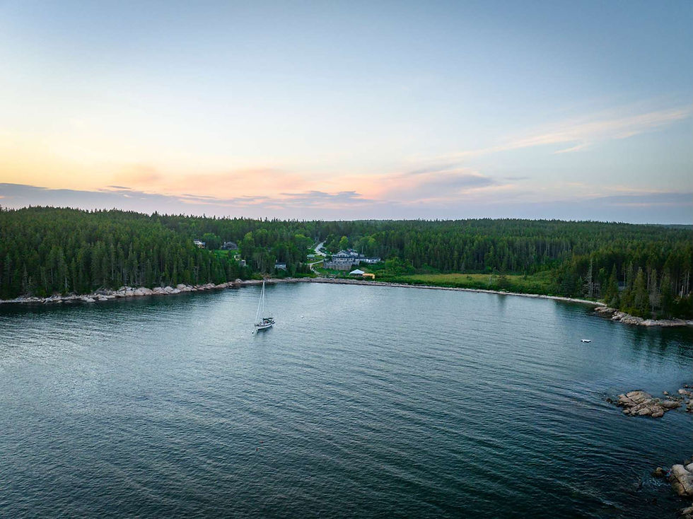 deerisle2022-016 1.jpeg