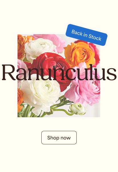 Back in Stock - Mobile.jpg