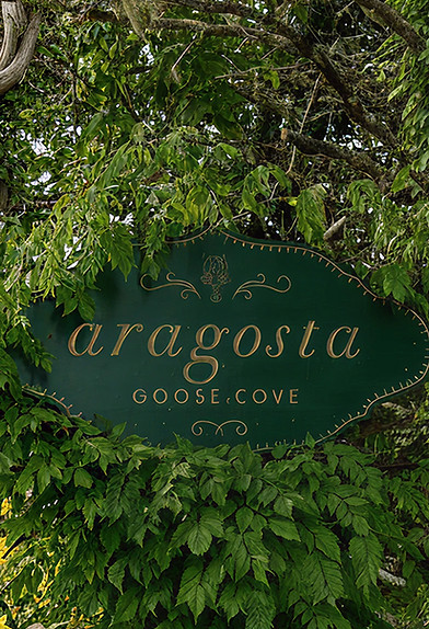 signage2.jpg