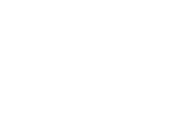 keystone.png