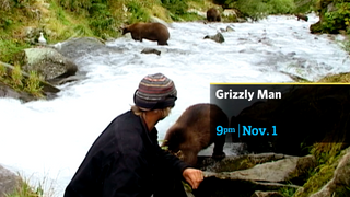 Grizzly Man