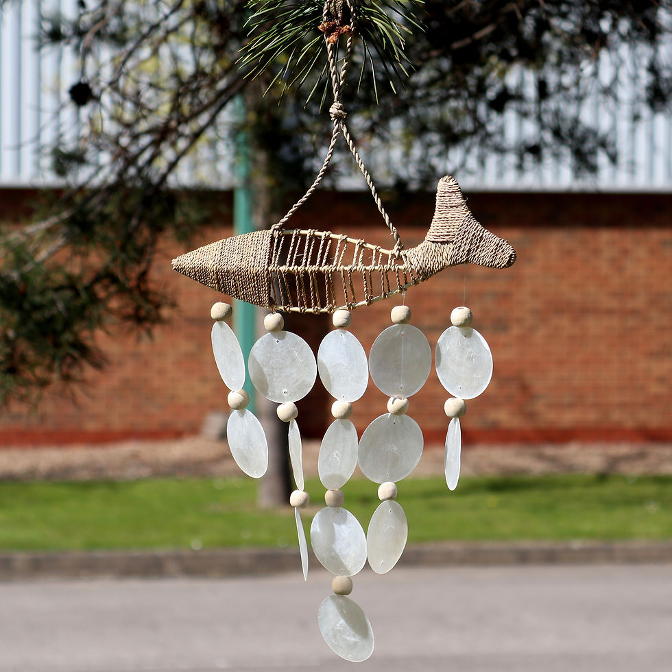 Thumbnail: String Fish and Natural Copis Drop