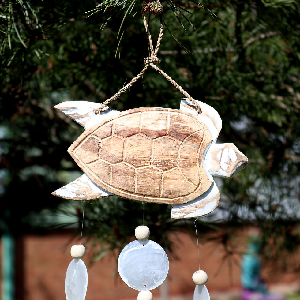 Thumbnail: Whitewash Turtle Carving and Natural Copis Drop