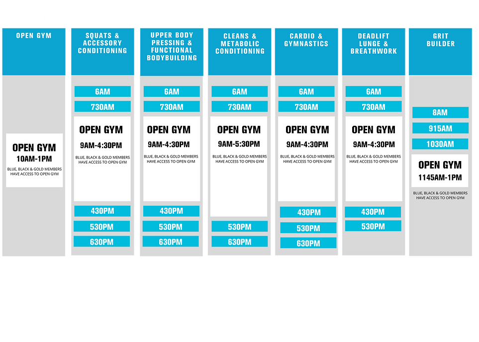 Blue and Beige Lines Class Schedule (6).png