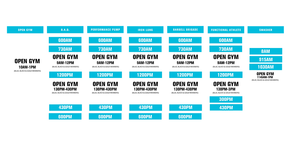 Blue and Beige Lines Class Schedule (1).