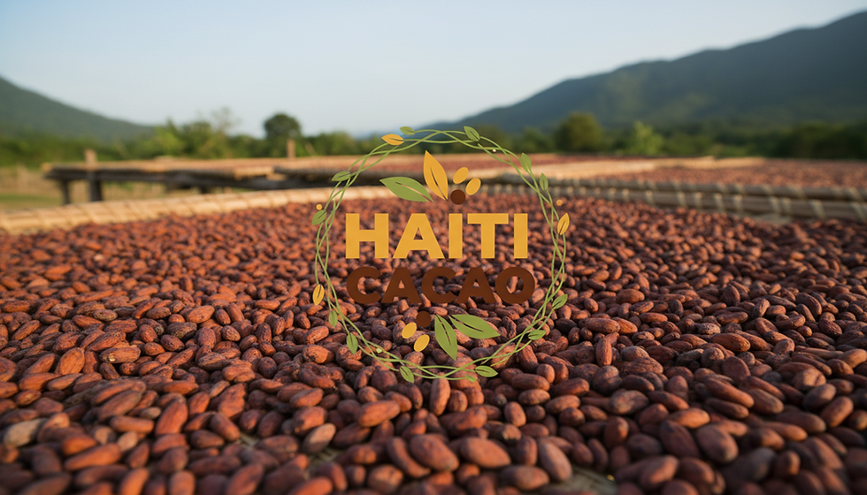Pourquoi les fèves de cacao (Bio) de la grand'anse sont spéciales ?