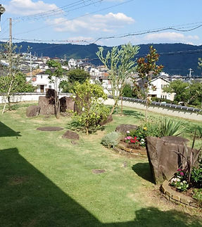 芝生の刈り込みと花壇の模様替え前