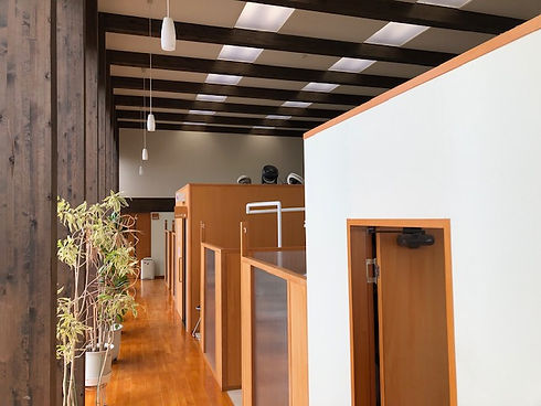 観葉植物がある医院内