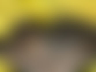 The Ultimate Guide to BBQ Grill Cleaning Services