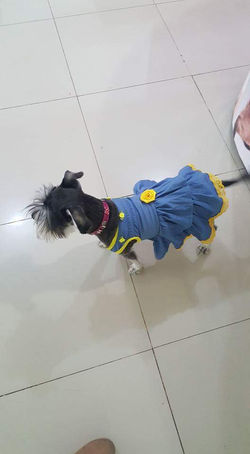 FB_IMG_1478732287851[1]