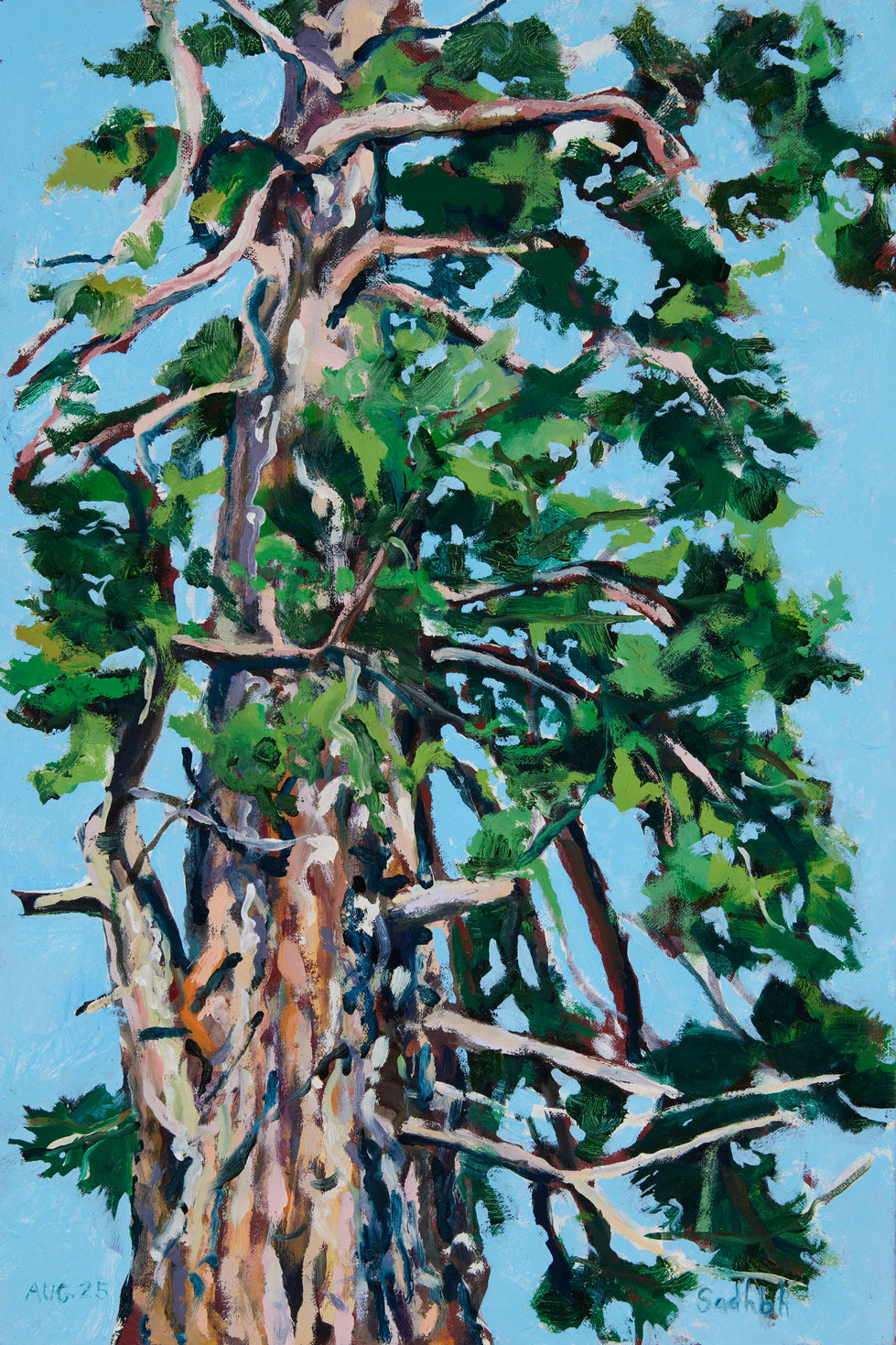 Sequoia Study