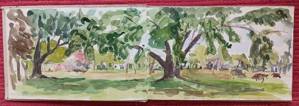 Kingston botanical gardens 1