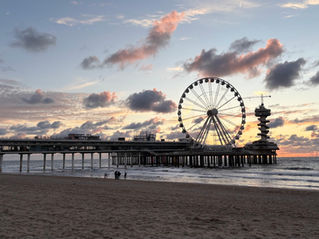 Things to Do in The Hague, Netherlands: The Perfect One-Day Itinerary