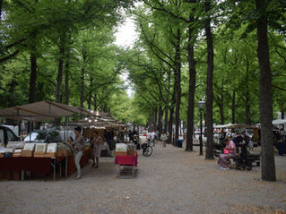 The Hague Antique Market on Lange Voorhout: A Local's Guide