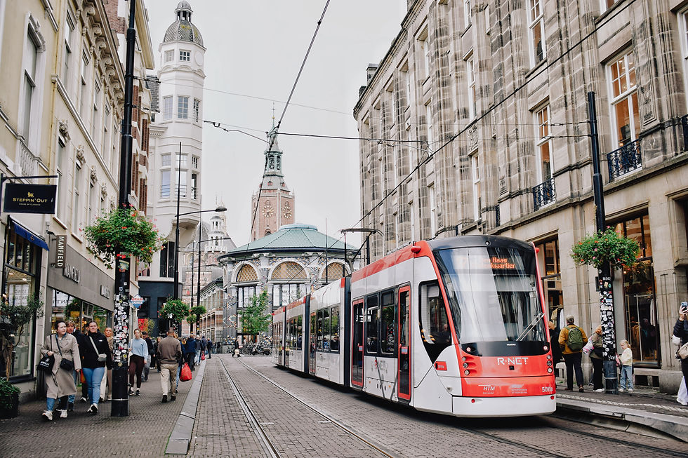 17 Awesome Things to do in The Hague: From a Local