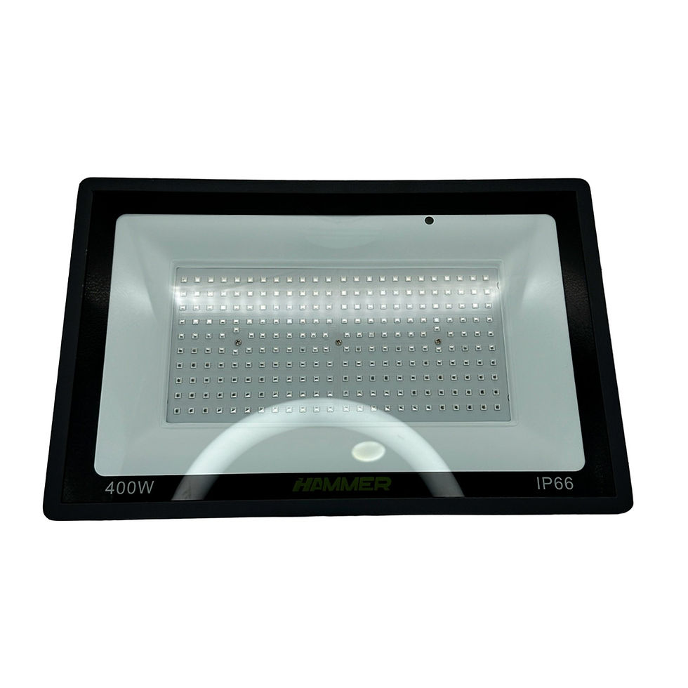 Miniatura: REFLECTOR ELECTRICO MULTIPUNTO 400W