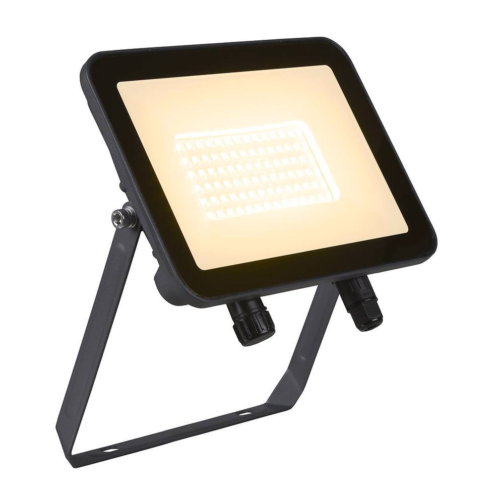 Miniatura: REFLECTOR ELECTRIDO DE 50W LUZ CALIDA