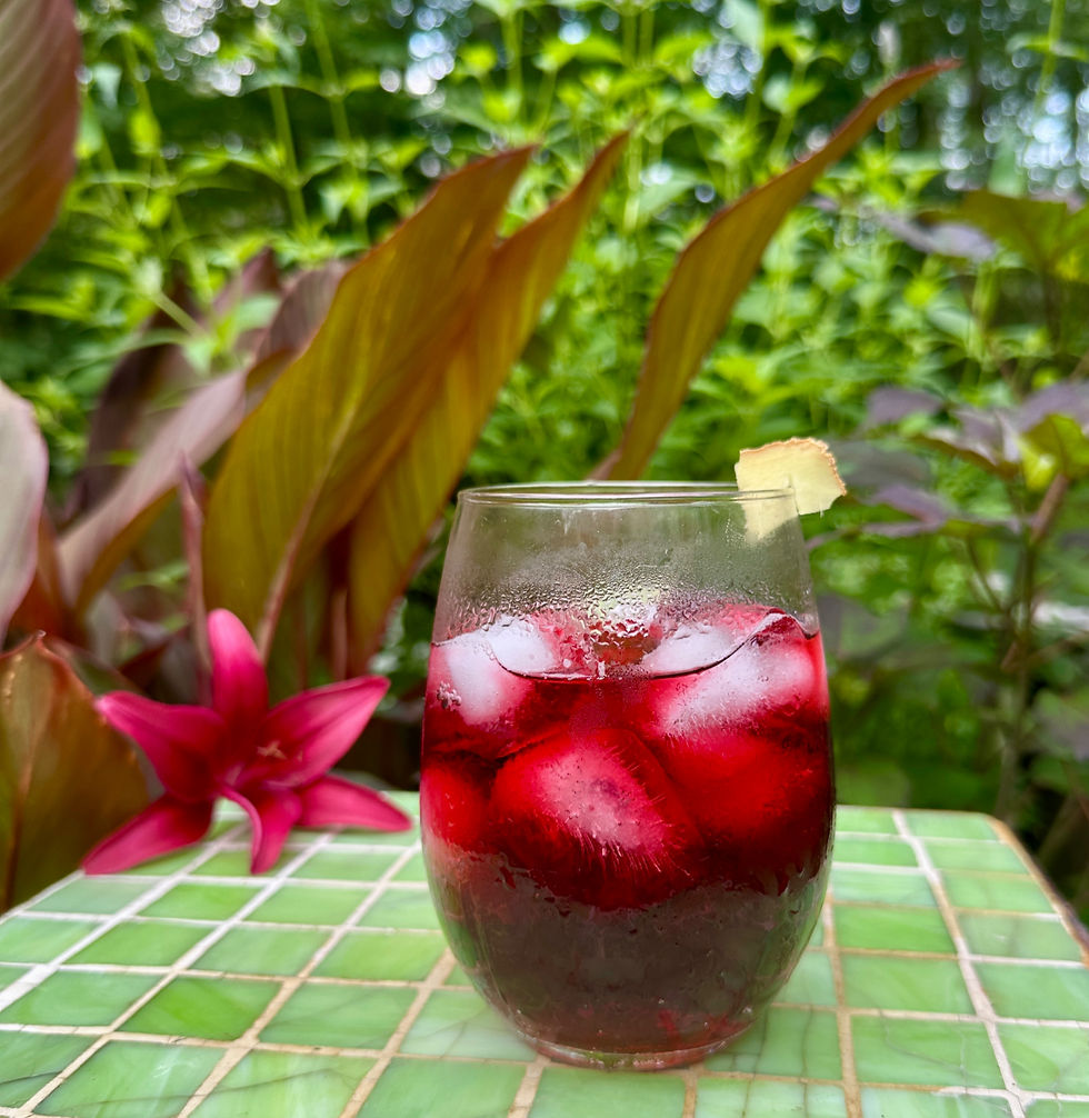 Hibiscus Ginger Frizz Mocktail.