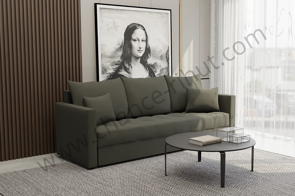 ספה נפתחת למיטה דגם Kiwi