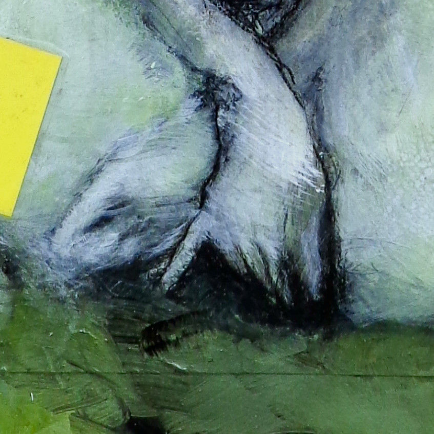 Miniaturbild: Num 171: "Amazon Bruises - You´ll never own me"