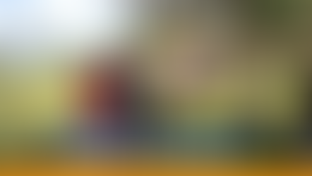 Promoting the Common Good using punishment, reward, and leadership