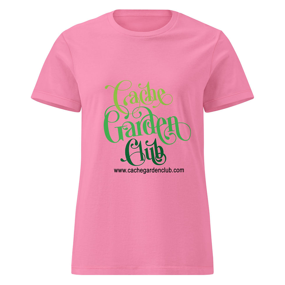 Thumbnail: Women’s basic softstyle t-shirt