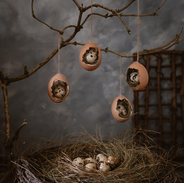 Something for the Birds