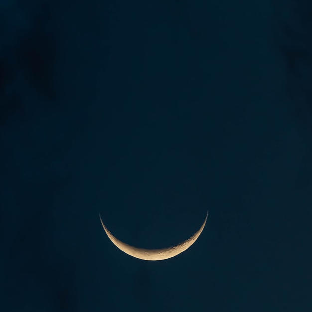 The Lunar Market of Lost Selves