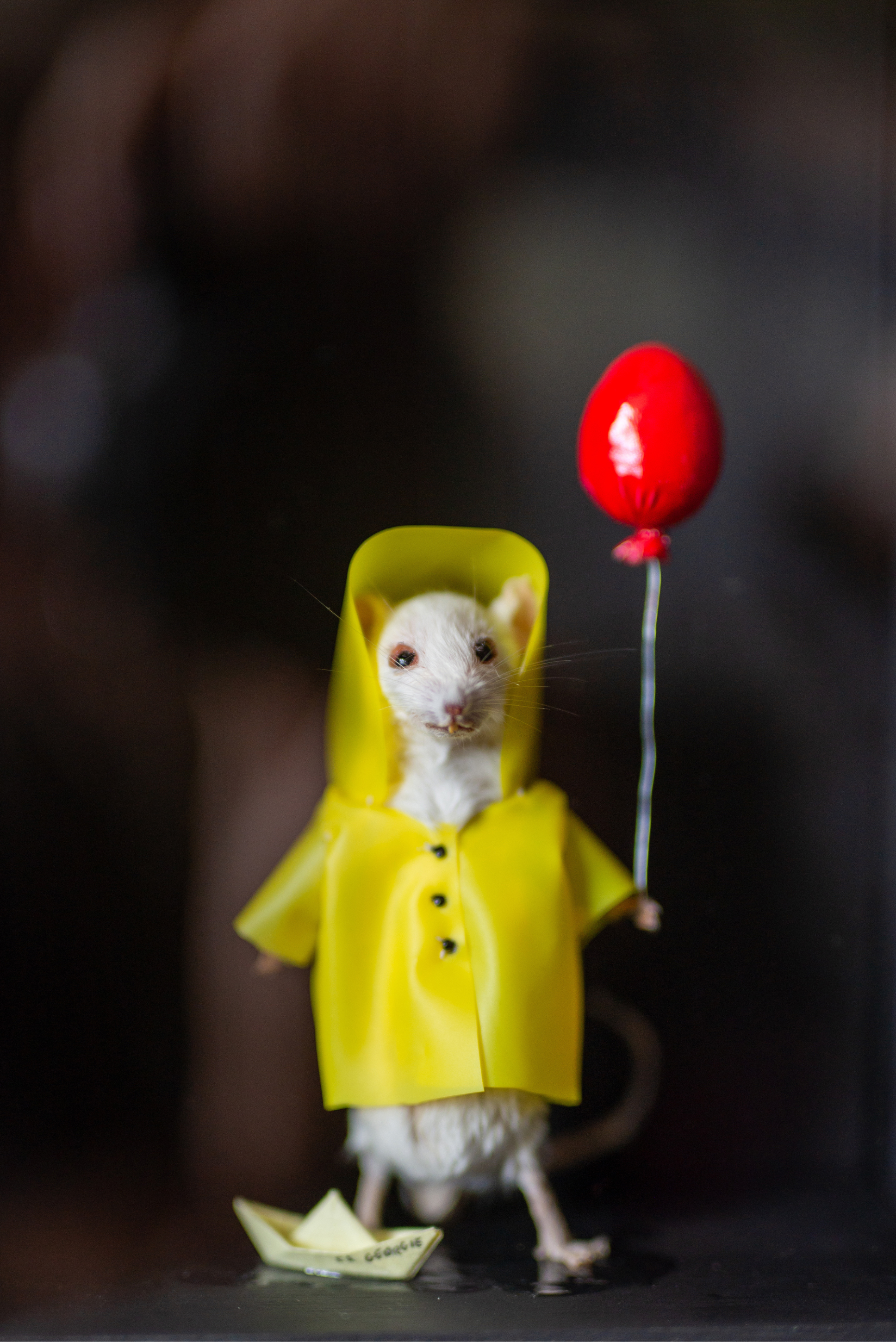 Georgie - Shadow Box Taxidermy Mouse - It - Stephen King - We all float
