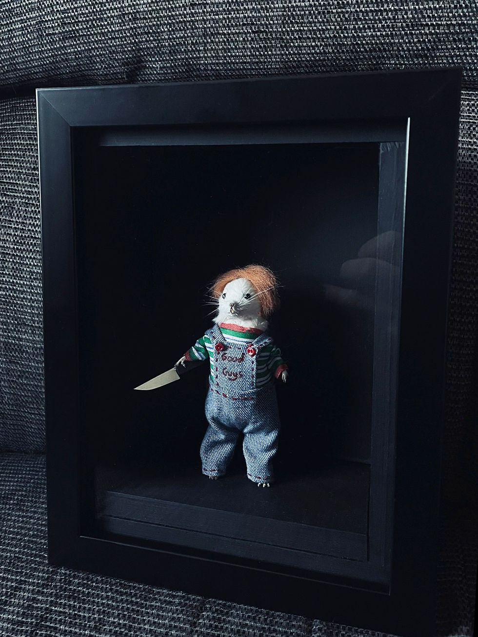 Thumbnail: Chucky Doll - Shadow Box Taxidermy Mouse - Child's Play - Wanna Play ?